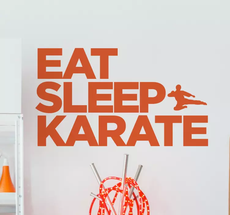 Vinilo eat sleep karate - TenVinilo