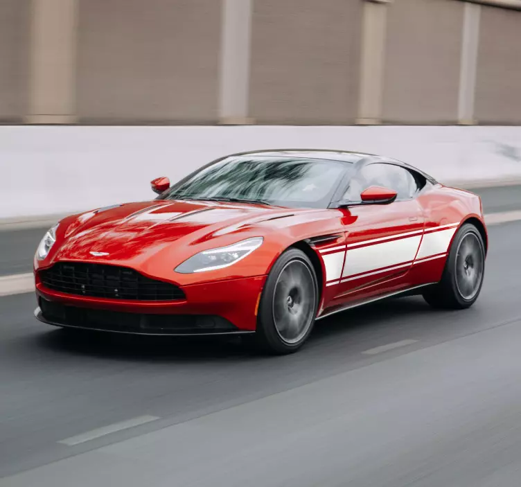 Pegatinas para coche custom rally - TenVinilo