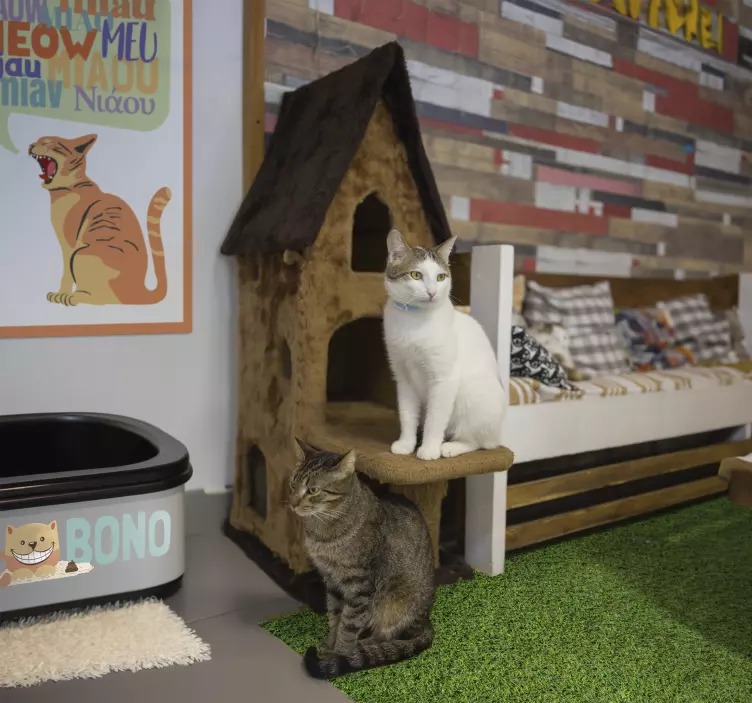 Vinilo gato caja de arena para gatos - TenVinilo