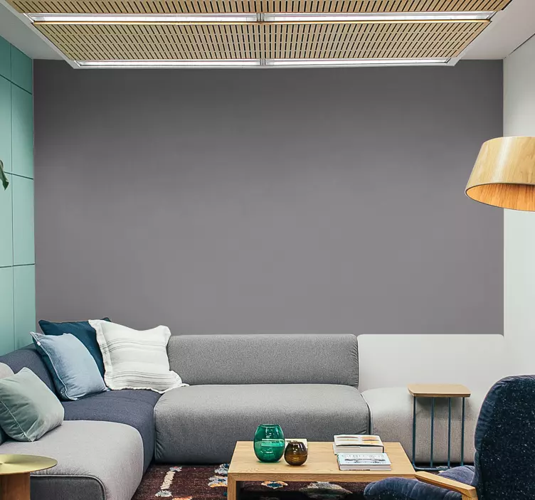 Vinilo de color Gris - TenVinilo