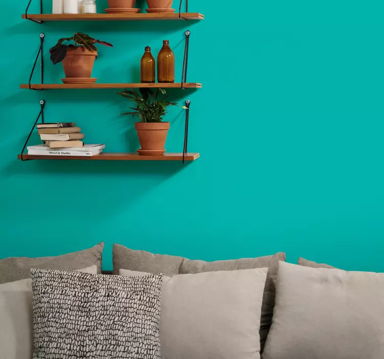 Vinilo de color Turquesa - TenVinilo