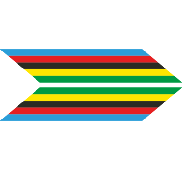 Vinilo bici flecha con colores de campeón del mundo - TenVinilo
