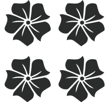 Calca para bicicleta paquete de flores hawaianas - TenVinilo