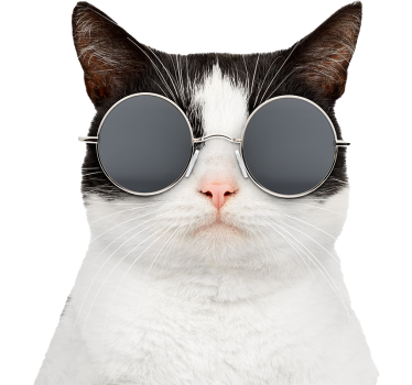 Calca para auto gato con gafas de sol - TenVinilo