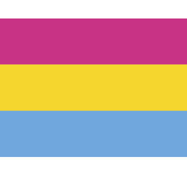 Calca para auto bandera pansexual - TenVinilo