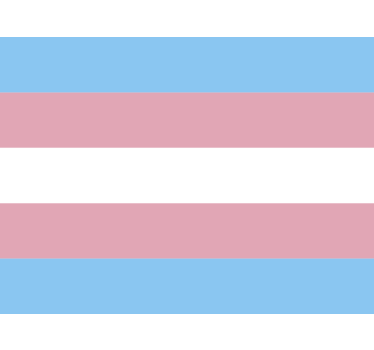 Calca para auto bandera trans - TenVinilo
