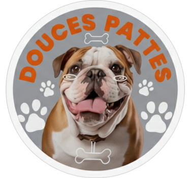 Calca para auto patas dulces bulldog inglés - TenVinilo