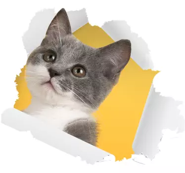 Vinilo decorativo de gato efecto visual 3D - TenVinilo