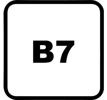 Calca para auto b7 cÓdigo - TenVinilo