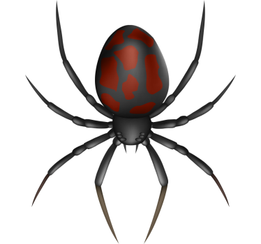 Pegatina coche Araña realista 3d - TenVinilo