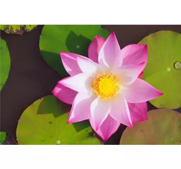 Vinilo para mampara de ducha Flor de loto en el agua - TenVinilo