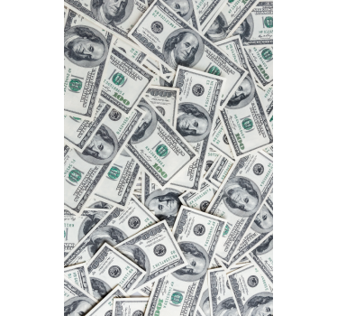 Vinilo para refrigerador billetes de dólares - TenVinilo
