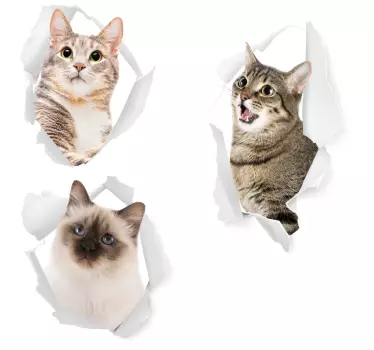 Vinilo para pared de animales gatitos - TenVinilo
