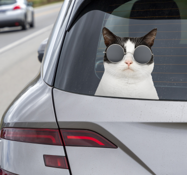 Calca para auto gato con gafas de sol - TenVinilo