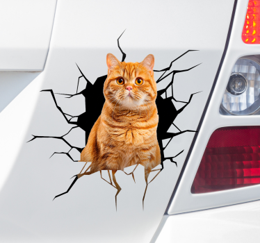 Calca para auto gato en el agujero - TenVinilo