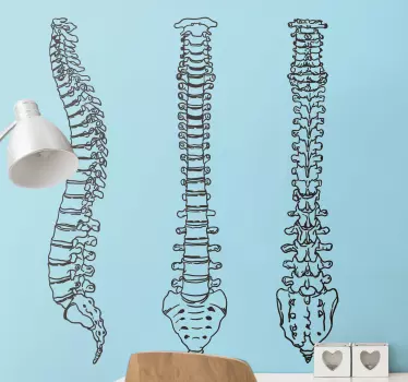 Vinilo decorativo columna vertebral línea - TenVinilo