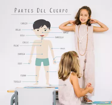Vinilo decorativo partes del cuerpo humano - TenVinilo