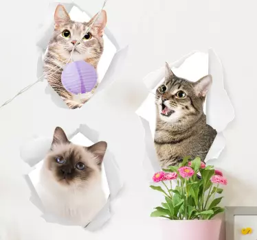 Vinilo para pared de animales gatitos - TenVinilo