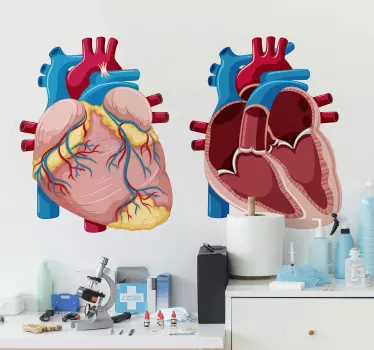 Vinilo para negocio ilustración corazón anatomía - TenVinilo