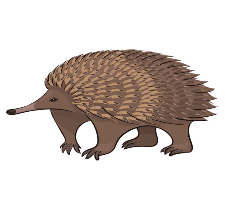 Aflombra vinílica animales erizo amigable - TenVinilo