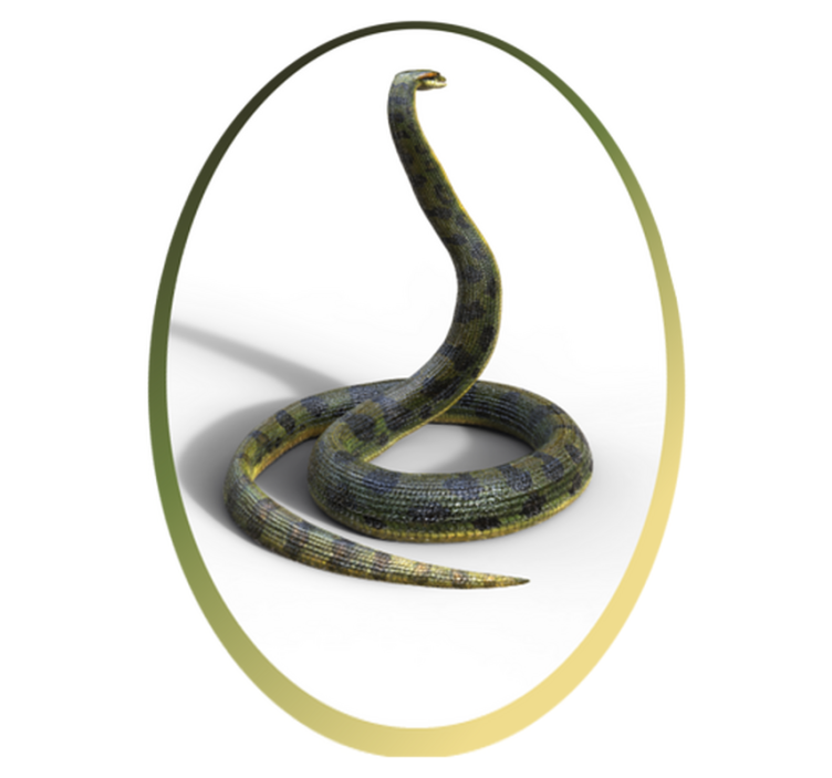 Aflombra vinílica animales inspiración serpiente - TenVinilo