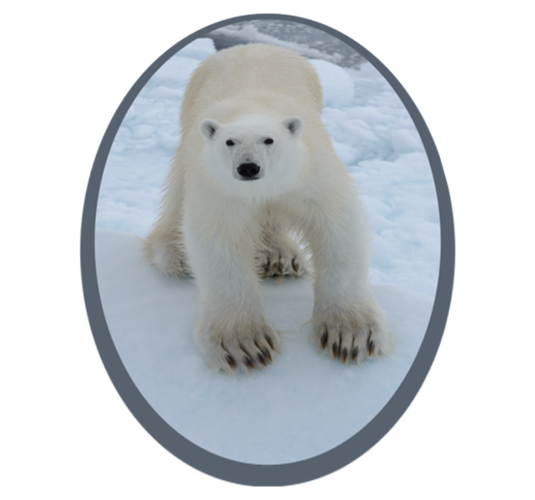 Aflombra vinílica animales imagen del oso polar - TenVinilo