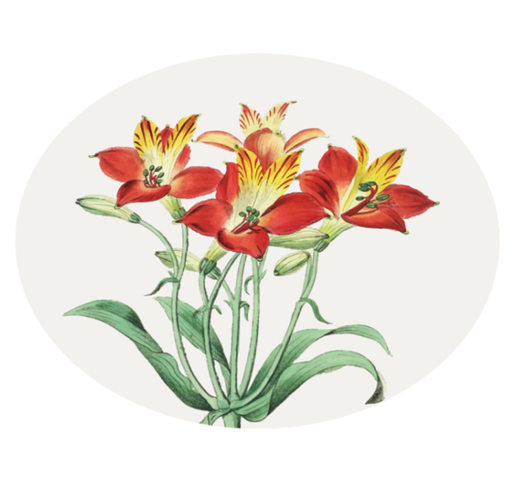 Alfombra vinílica flores flores escarlatas vibrantes - TenVinilo