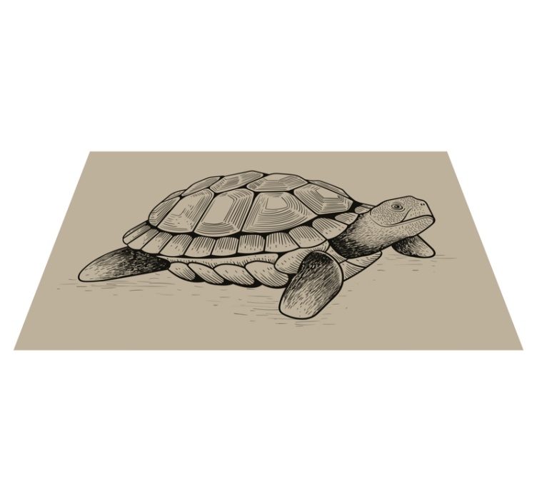 Aflombra vinílica animales ilustración de tortuga - TenVinilo