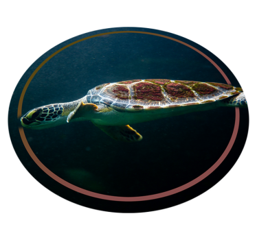 Alfombras de vinilo de animales tortuga nadando - TenVinilo