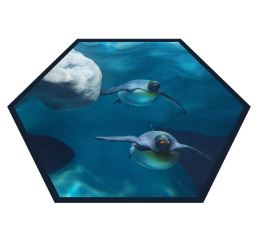 Alfombras vinílicas de animales Pingüinos nadando - TenVinilo