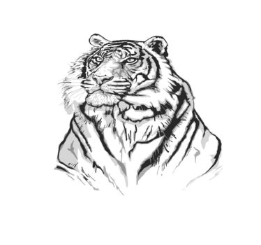 Alfombras vinílicas de animales Cara de tigre blanco - TenVinilo