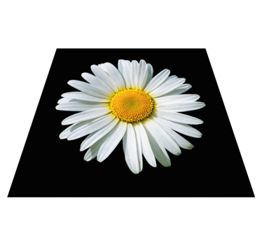 Alfombra vinilo dormitorio Flor de margarita blanco y negro - TenVinilo