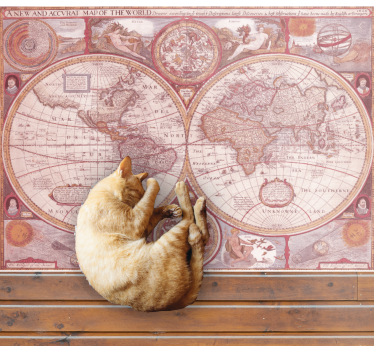 Alfombra vinílica mapamundi Cartografía terrestre antigua - TenVinilo
