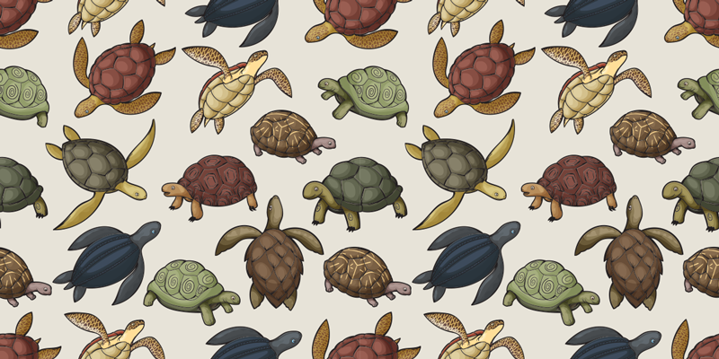 Aflombra vinílica animales variedad de tortugas - TenVinilo