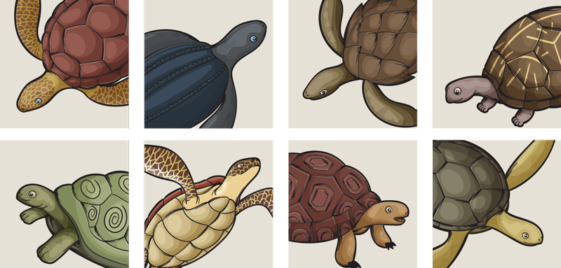 Aflombra vinílica animales baldosas de tortugas - TenVinilo