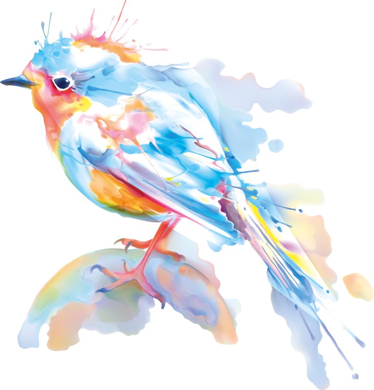 Aflombra vinílica animales salpicadura de aves - TenVinilo