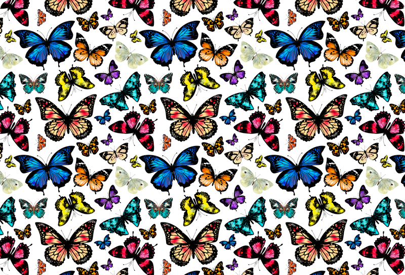 Aflombra vinílica animales mariposas hermosas y coloridas - TenVinilo