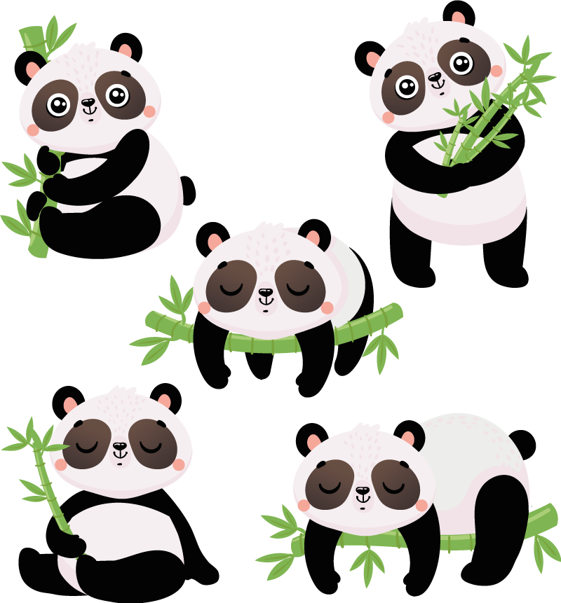 Aflombra vinílica animales ilustraciones de pandas adorables - TenVinilo