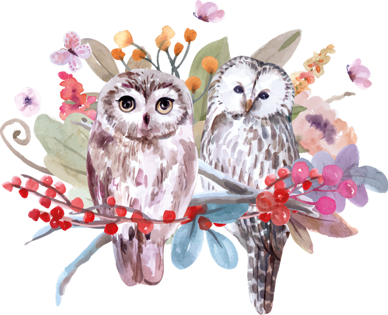 Aflombra vinílica animales búhos en la naturaleza - TenVinilo