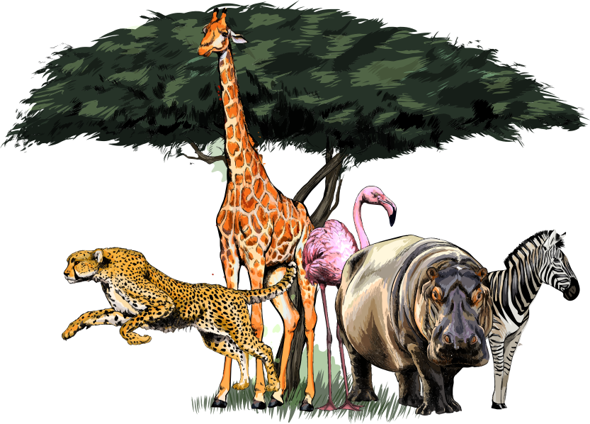 Aflombra vinílica animales safari de la familia jirafa - TenVinilo