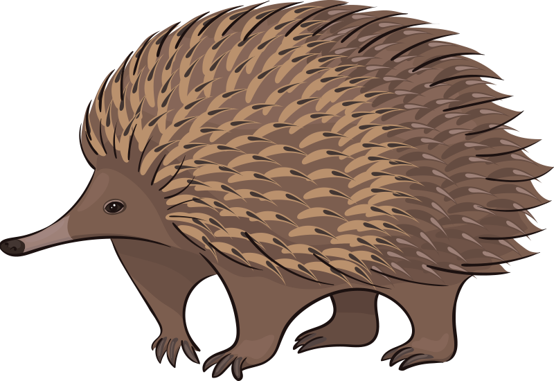 Aflombra vinílica animales erizo amigable - TenVinilo