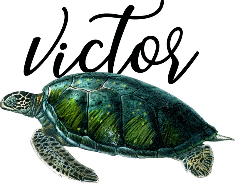 Aflombra vinílica animales diseño de tortuga personalizable - TenVinilo