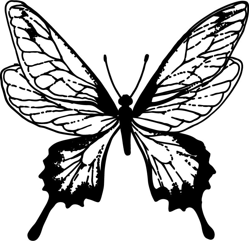 Aflombra vinílica animales mariposa elegante contorno - TenVinilo