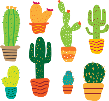 Alfombra vinílica flores pack de cactus coloridos - TenVinilo