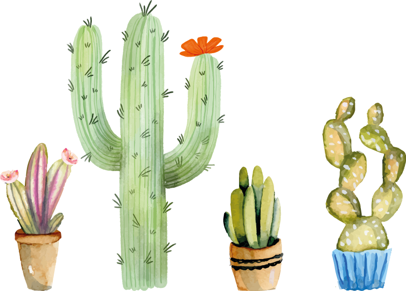 Alfombra vinilo comedor set variedad de cactus - TenVinilo