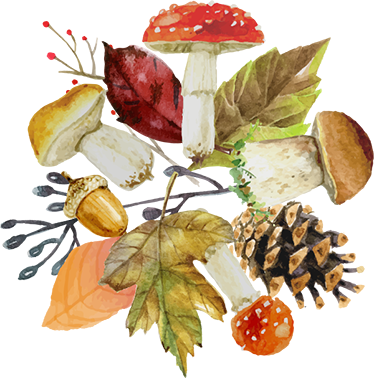 Alfombra vinílica naturaleza hojas y frutos del bosque - TenVinilo