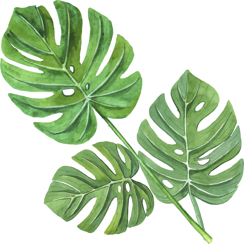 Alfombra vinílica flores hojas de monstera acuarela - TenVinilo