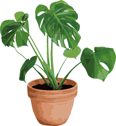 Alfombra vinílica flores maceta monstera simple - TenVinilo