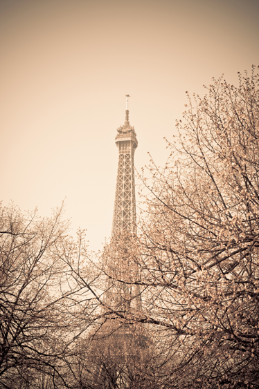 Alfombra vinílica dormitorio vinilo torre eiffel árboles - TenVinilo