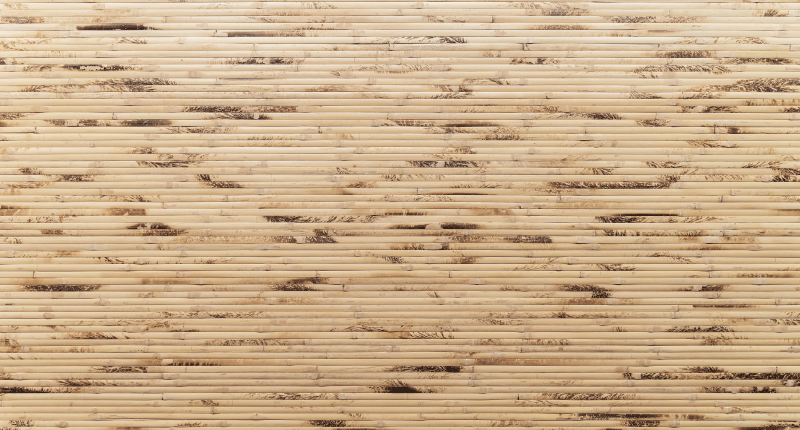 Alfombra vinílica recibidor palitos de madera claros - TenVinilo